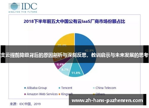 支云提前降级背后的原因剖析与深刻反思，教训启示与未来发展的思考