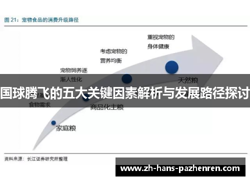 国球腾飞的五大关键因素解析与发展路径探讨