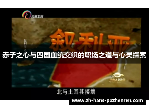 赤子之心与四国血统交织的职场之道与心灵探索