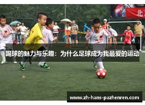 踢球的魅力与乐趣：为什么足球成为我最爱的运动