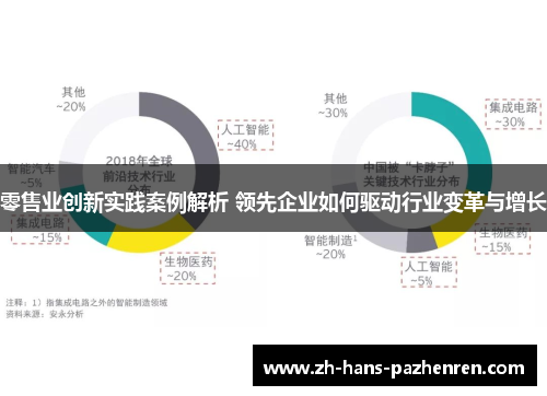 零售业创新实践案例解析 领先企业如何驱动行业变革与增长