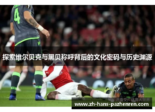 探索维尔贝克与黑贝称呼背后的文化密码与历史渊源