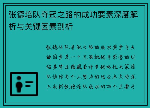 张德培队夺冠之路的成功要素深度解析与关键因素剖析