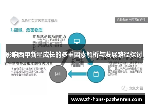 影响西甲新星成长的多重因素解析与发展路径探讨