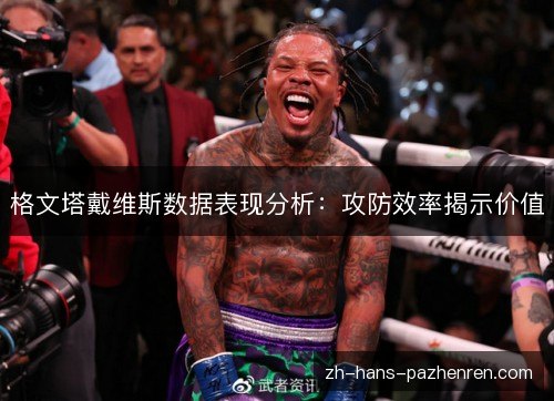 格文塔戴维斯数据表现分析:攻防效率揭示价值 格文塔戴维斯数据表现分析:攻防效率揭示价值